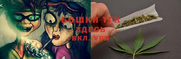 гидра Вязьма