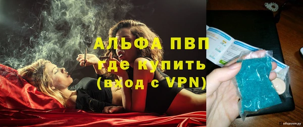 гидра Вязьма