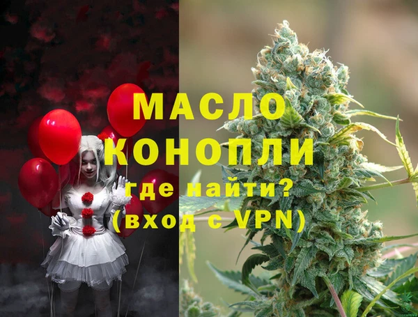 гидра Вязьма