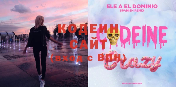 гидра Вязьма